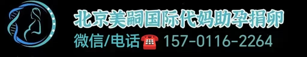 同性恋 助孕 费用